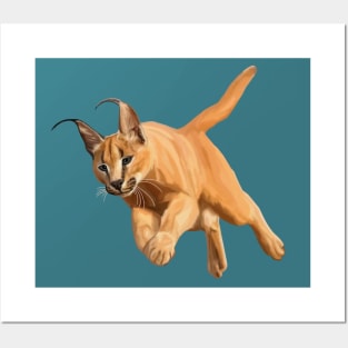 Pouncing Caracal Cat Posters and Art